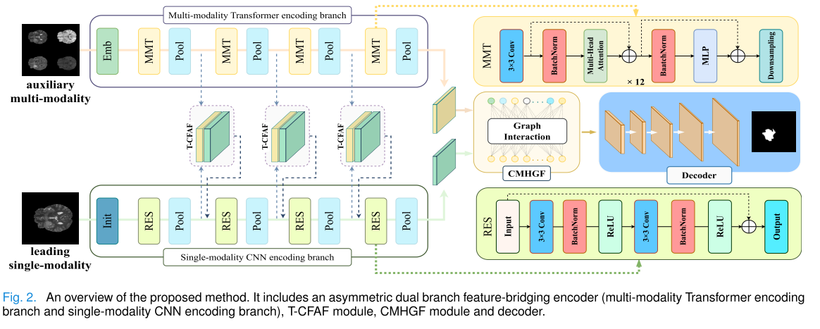 非对称异构网络实现脑肿瘤分割