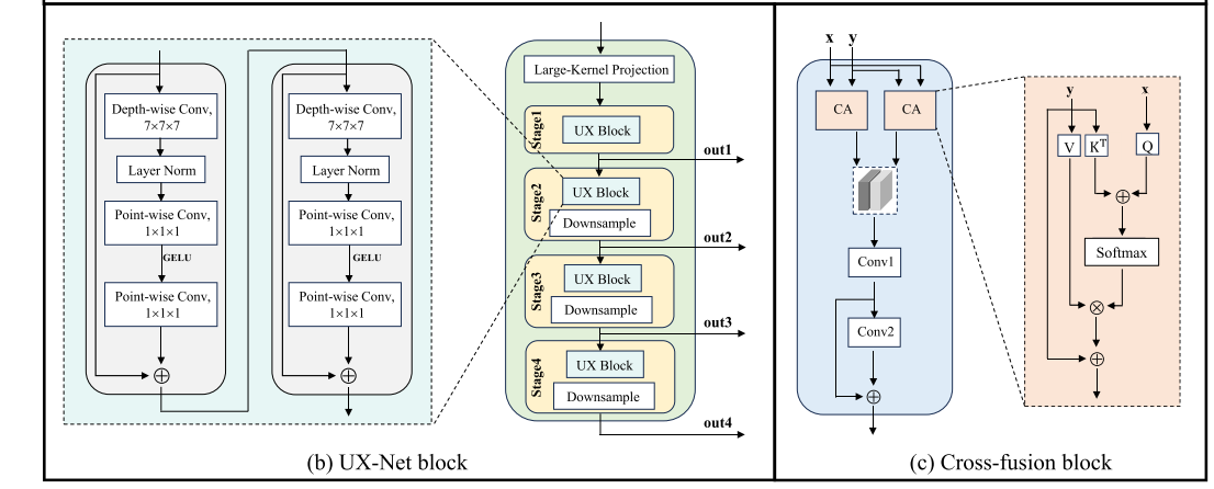 脑肿瘤自动分割